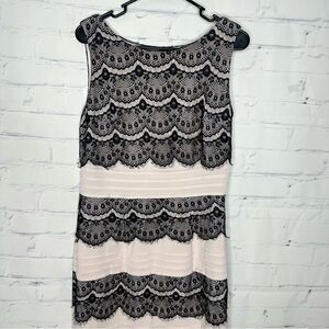 Alexa B pink & black size 12 dress